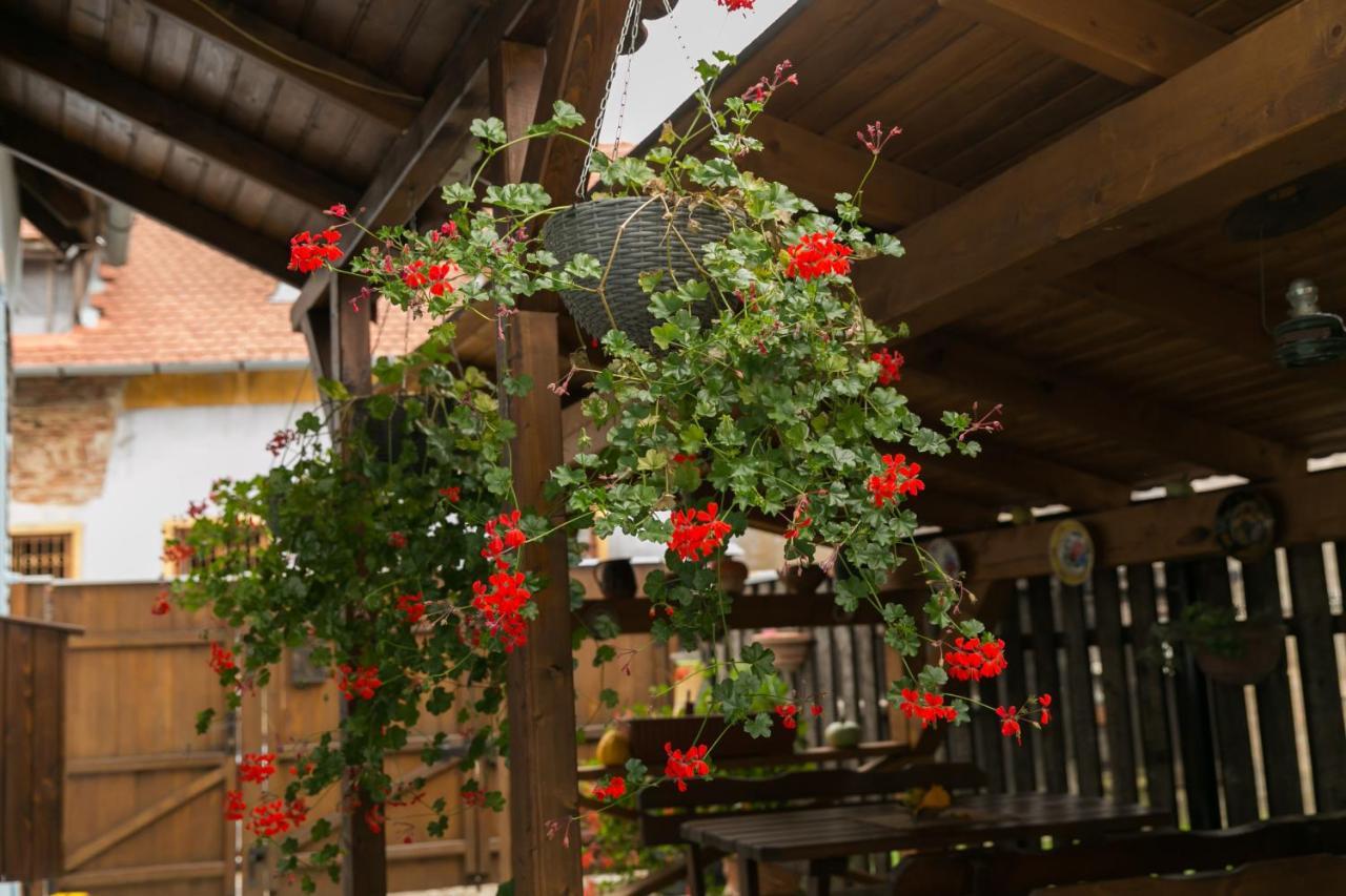 Casa Richter- Check-In Independent Hotel Sighisoara Exterior photo
